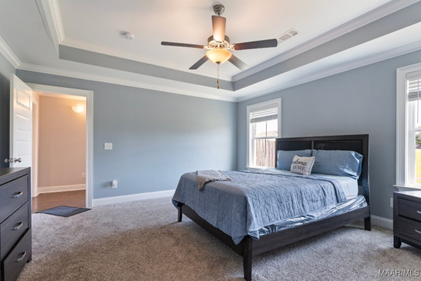 8411 Paula Trace