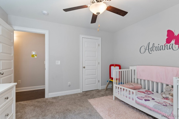 8411 Paula Trace