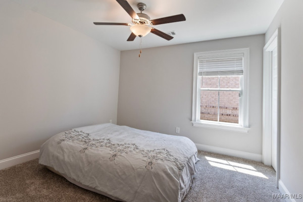 8411 Paula Trace