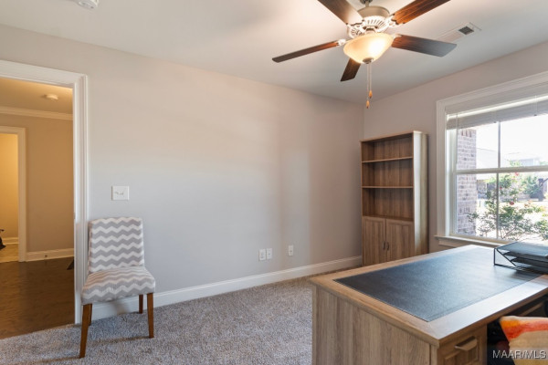 8411 Paula Trace