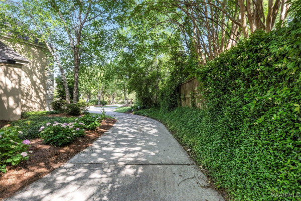 3801 Colline Drive