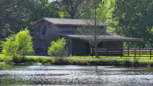 1777 Barganier Road