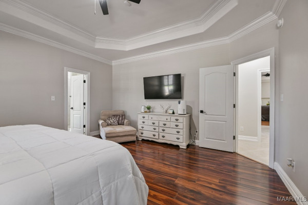 541 JASMINE Trail