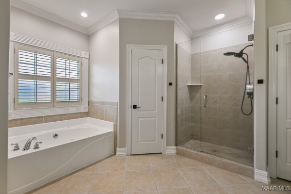541 JASMINE Trail