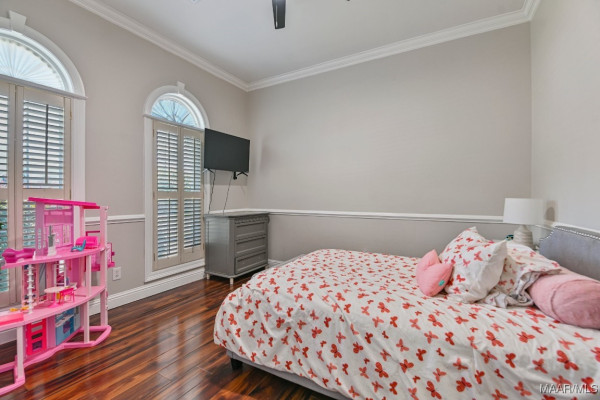 541 JASMINE Trail