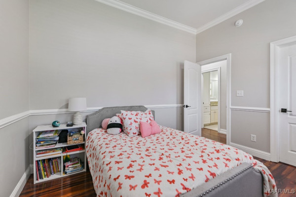 541 JASMINE Trail