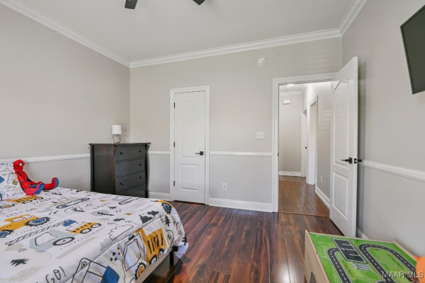 541 JASMINE Trail