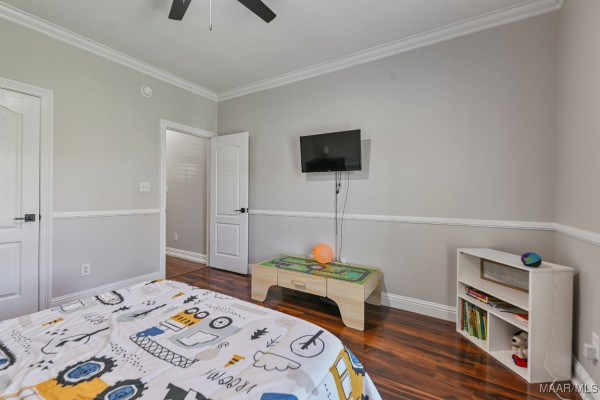 541 JASMINE Trail