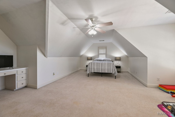541 JASMINE Trail