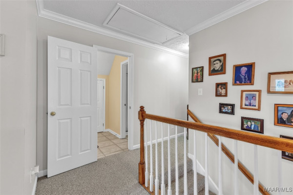 65 Whatley Drive