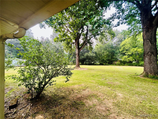 305 Daphne Lane