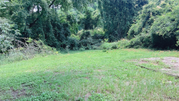 905 Milly Francis Street