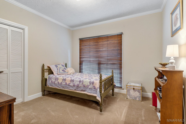 203 EVERGREEN Street