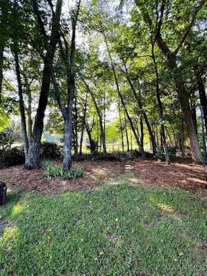 267 RIVER BIRCH Circle