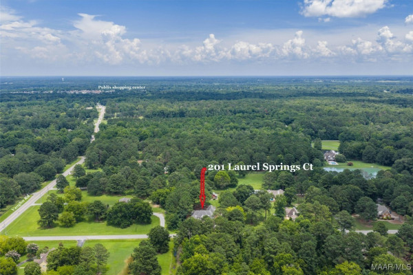 201 Laurel Springs Court