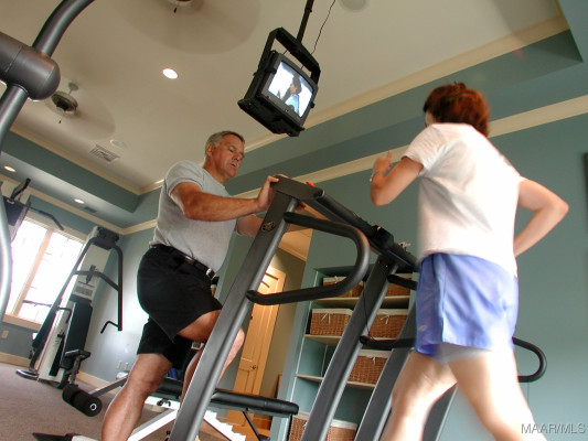 3906 Turning Leaf Lane