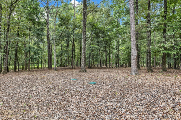 13884 Old Pike Road