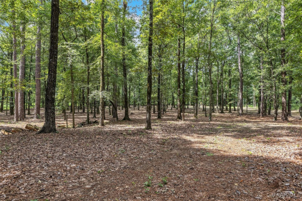 13884 Old Pike Road