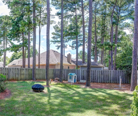9919 Turtle River Road