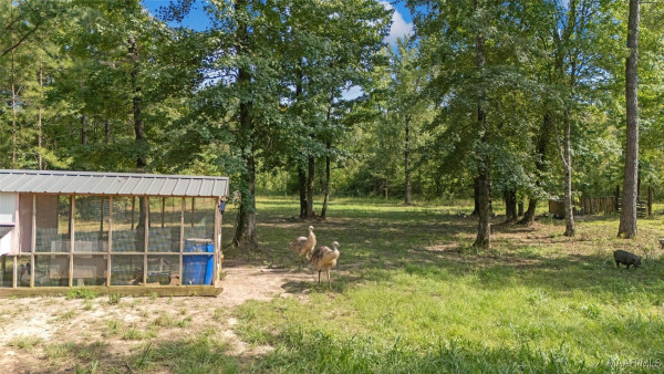 1006 Owens Road