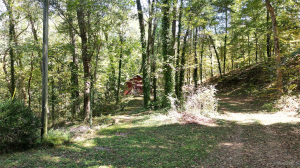 231 Jasmine Hill Road