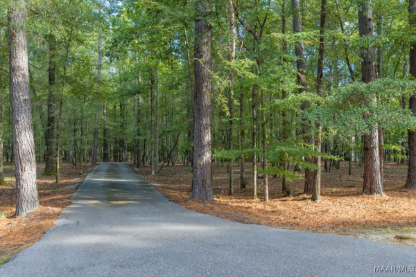 1998 W Fort Toulouse Road