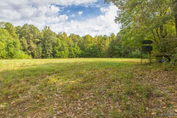 1998 W Fort Toulouse Road