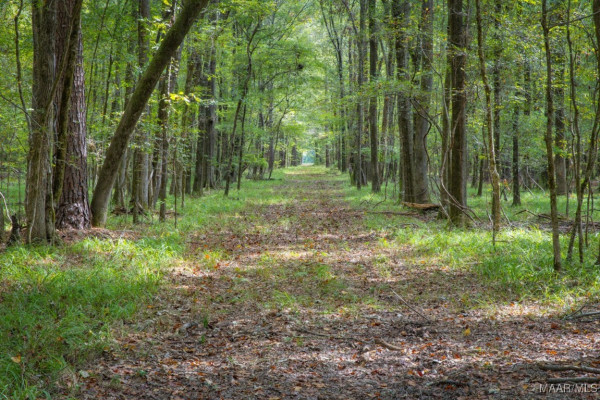 1998 W Fort Toulouse Road