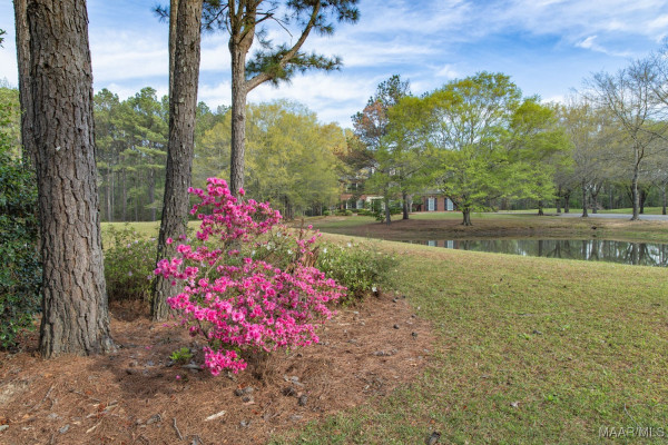 501 Timberlane Road