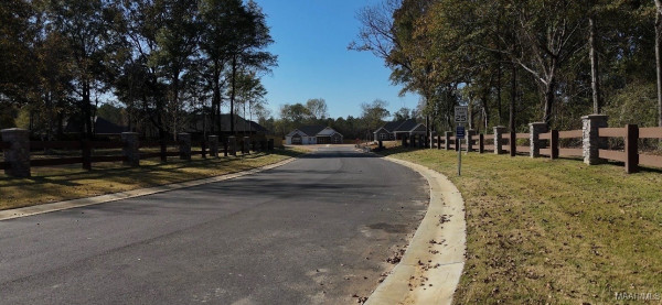 51 Lorie Lee Loop