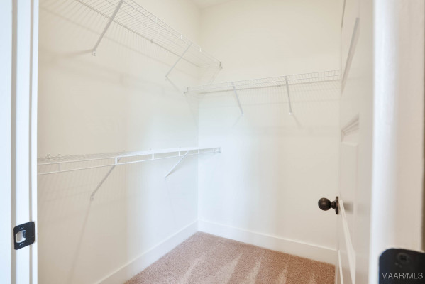 329 Ivy Avenue