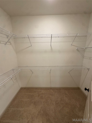 146 Blackberry Boulevard