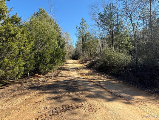 4504 Tall Pines Drive