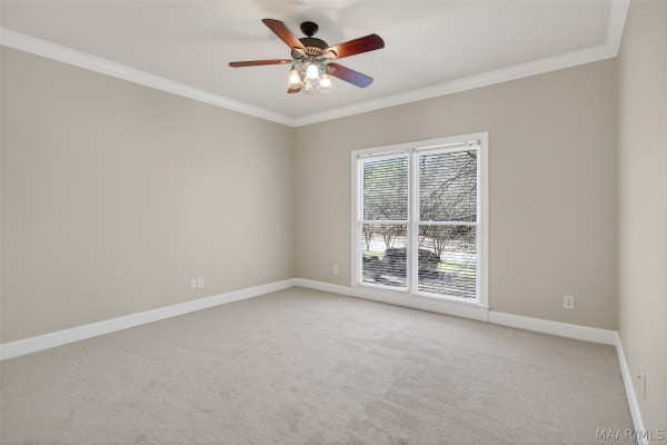 8411 TIMBER CREEK Drive