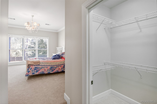 8411 TIMBER CREEK Drive