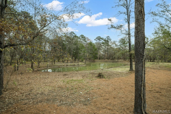 2624 Pine Acres Road