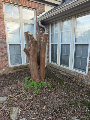 2745 HALCYON DOWNS Loop