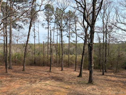 140 LAUREL HILL Drive