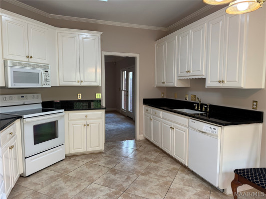 9105 GREEN CHASE Drive