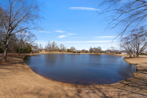 10805 Blackwater Court