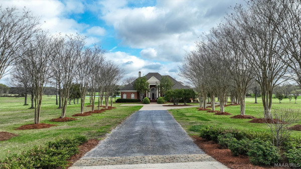 1992 Milly Branch Road