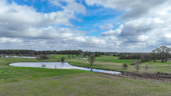 1992 Milly Branch Road