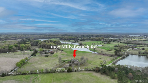 1992 Milly Branch Road