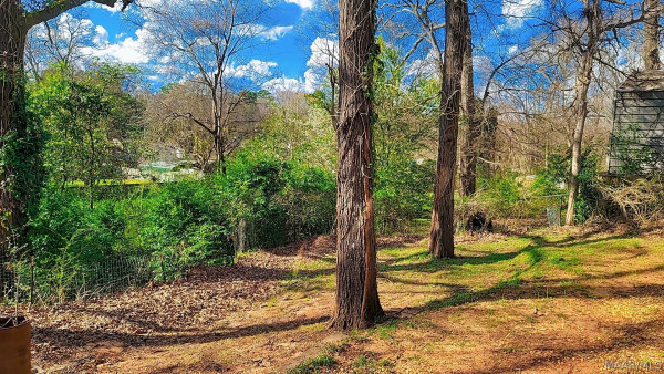 3033 Willow Lane Drive