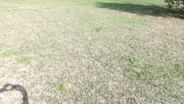 3399 Southmont Drive