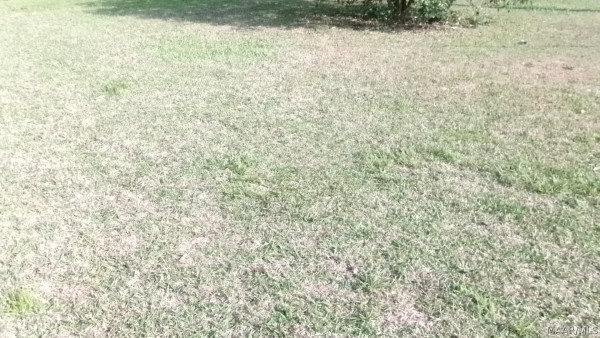 3399 Southmont Drive