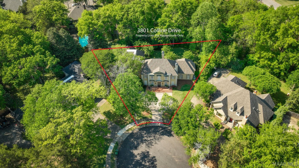 3801 Colline Drive