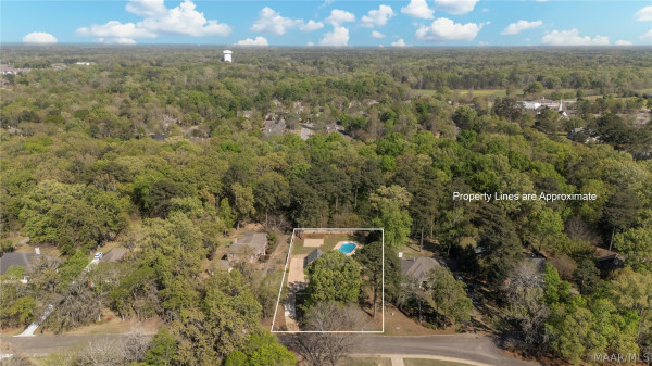 8243 Mossy Oak Drive
