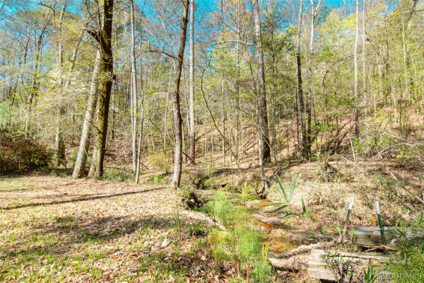 393 Harrogate Springs Road