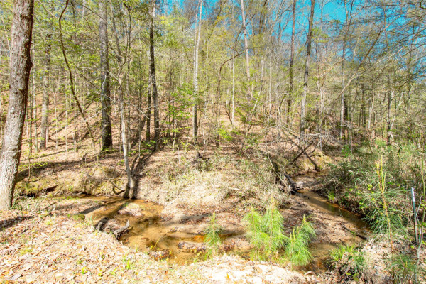 393 Harrogate Springs Road